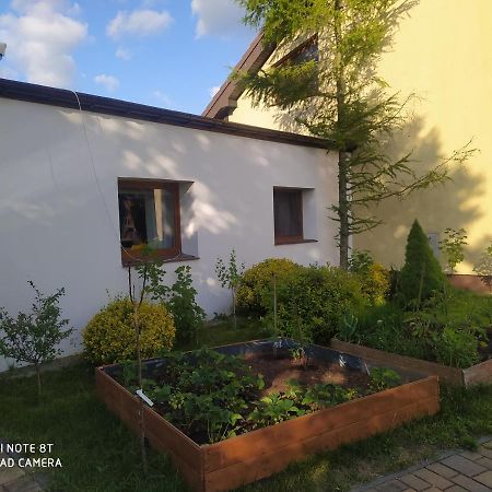 Apartament Gniezno - Mnichowo Extérieur photo